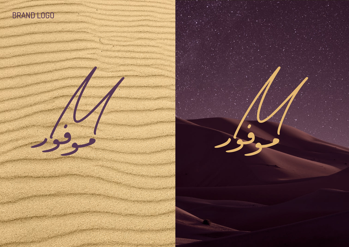 EUROPRO Vision Brand Identity by Guided Agency