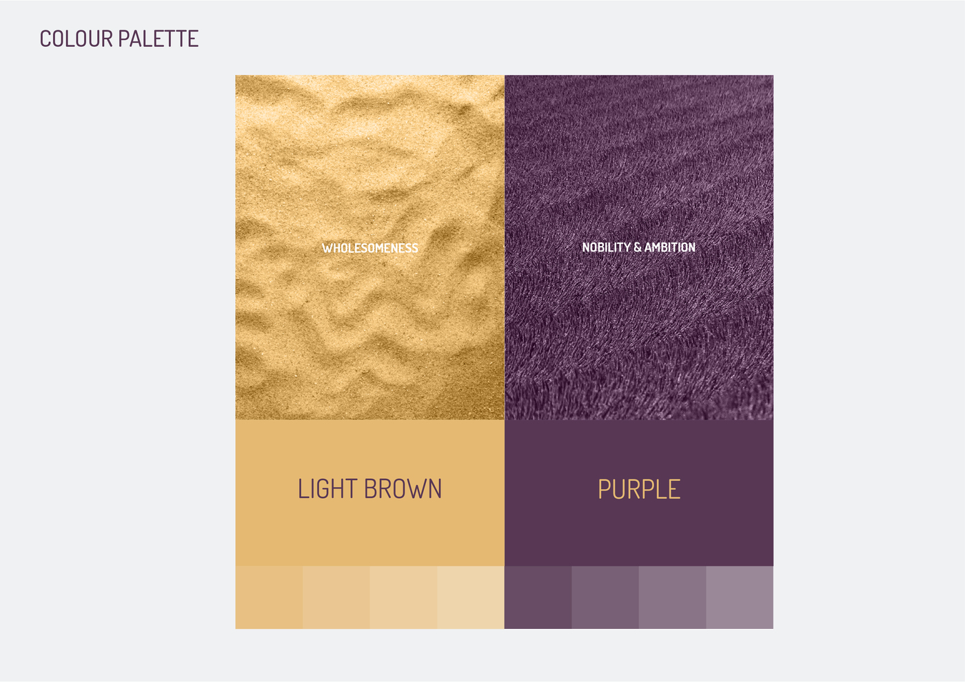 EUROPRO Vision Brand Identity by Guided Agency