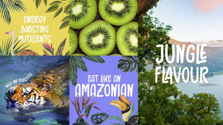 xNARA Brand Identity by Guided Agency