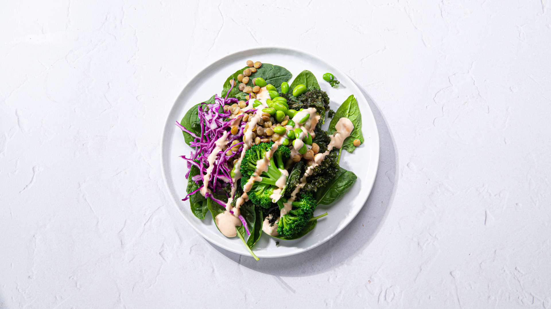 xNARA Brand Identity by Guided Agency